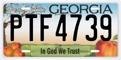 GA license plate PTF4739