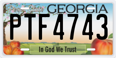 GA license plate PTF4743
