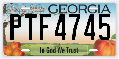 GA license plate PTF4745