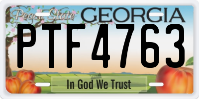GA license plate PTF4763