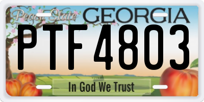 GA license plate PTF4803