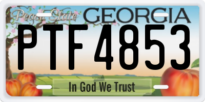 GA license plate PTF4853