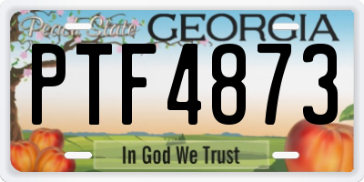 GA license plate PTF4873