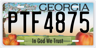GA license plate PTF4875