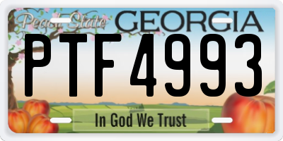 GA license plate PTF4993