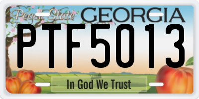 GA license plate PTF5013
