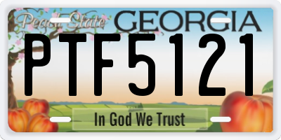 GA license plate PTF5121