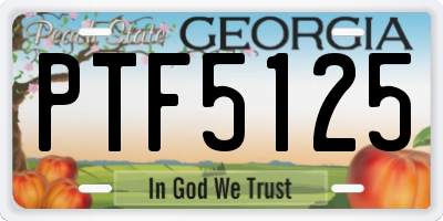 GA license plate PTF5125