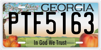 GA license plate PTF5163