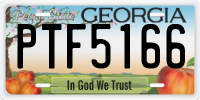 GA license plate PTF5166