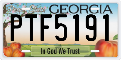 GA license plate PTF5191
