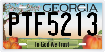 GA license plate PTF5213