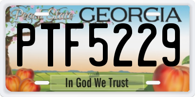 GA license plate PTF5229