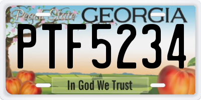 GA license plate PTF5234