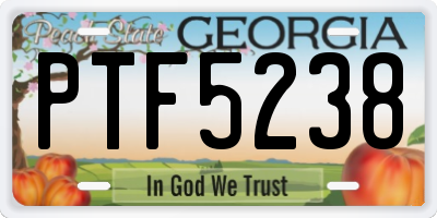 GA license plate PTF5238