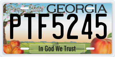 GA license plate PTF5245