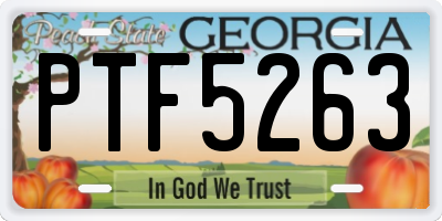 GA license plate PTF5263