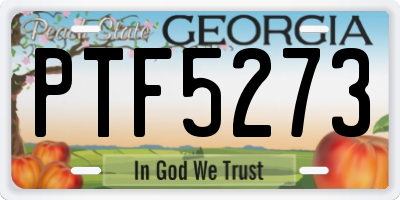 GA license plate PTF5273
