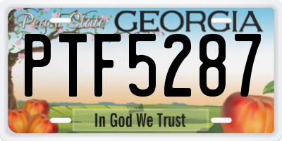 GA license plate PTF5287
