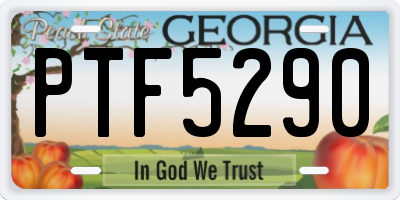 GA license plate PTF5290