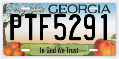 GA license plate PTF5291