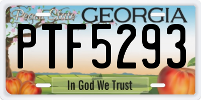 GA license plate PTF5293