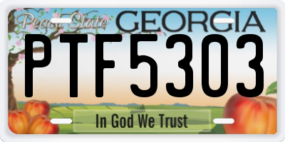 GA license plate PTF5303