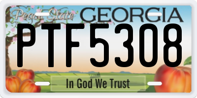 GA license plate PTF5308