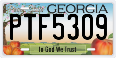 GA license plate PTF5309