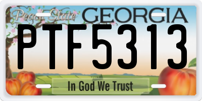GA license plate PTF5313