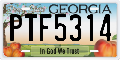 GA license plate PTF5314