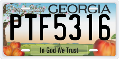 GA license plate PTF5316