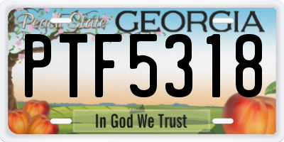 GA license plate PTF5318