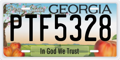 GA license plate PTF5328