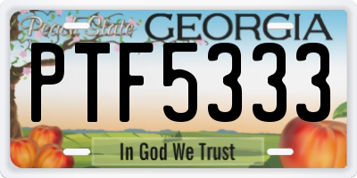 GA license plate PTF5333