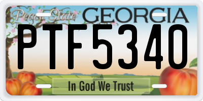 GA license plate PTF5340