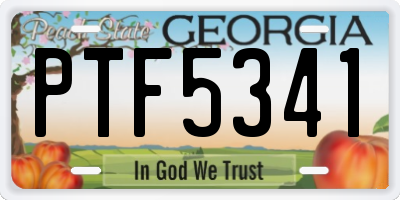 GA license plate PTF5341