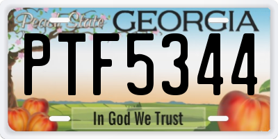 GA license plate PTF5344