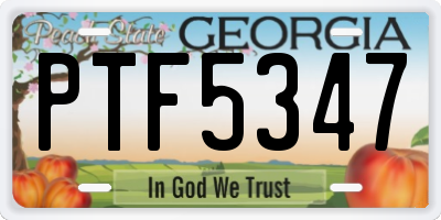 GA license plate PTF5347