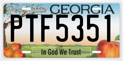 GA license plate PTF5351