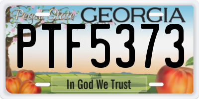GA license plate PTF5373