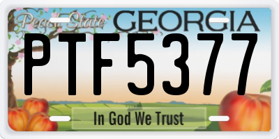 GA license plate PTF5377