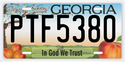 GA license plate PTF5380