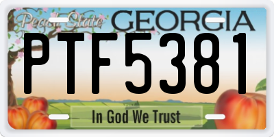 GA license plate PTF5381