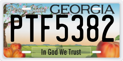GA license plate PTF5382