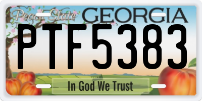 GA license plate PTF5383