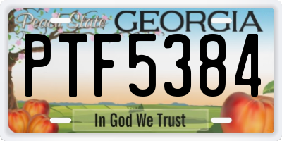 GA license plate PTF5384