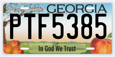 GA license plate PTF5385