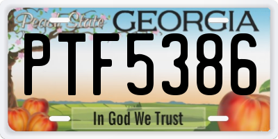 GA license plate PTF5386