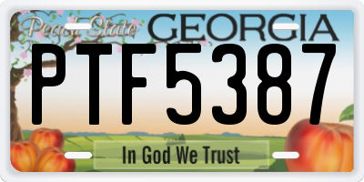 GA license plate PTF5387